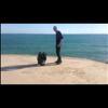 Recaro коляска-трость EasyLife