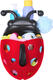 Boon органайзер для ванної Bug Pod B453