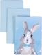 Верес змінна постіль Summer Bunny blue 154.7.03ver