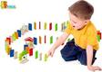 Viga Toys деревянный игровой набор Домино, 116 эл.  51620afk