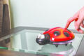 DreamBaby нічний світильник DreamBaby LADY BUG F689