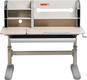 FunDesk парта Amico Grey Amico Grey