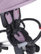 Qplay складной трехколесный велосипед Nova + Air Purple S700Purple+Air
