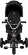 Kinderkraft триколісний велосипед Easytwist Black (KREASY00BLK0000) KREASY00BLK0000