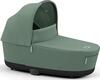 R Leaf Green 2023 523000839bbg