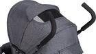 FreeON прогулянковf коляска Simple Black Grey 48532vsg
